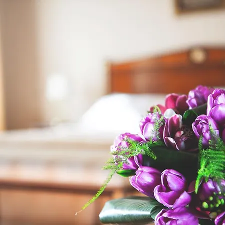 Optima Collection Podil Plaza Hotel 4*